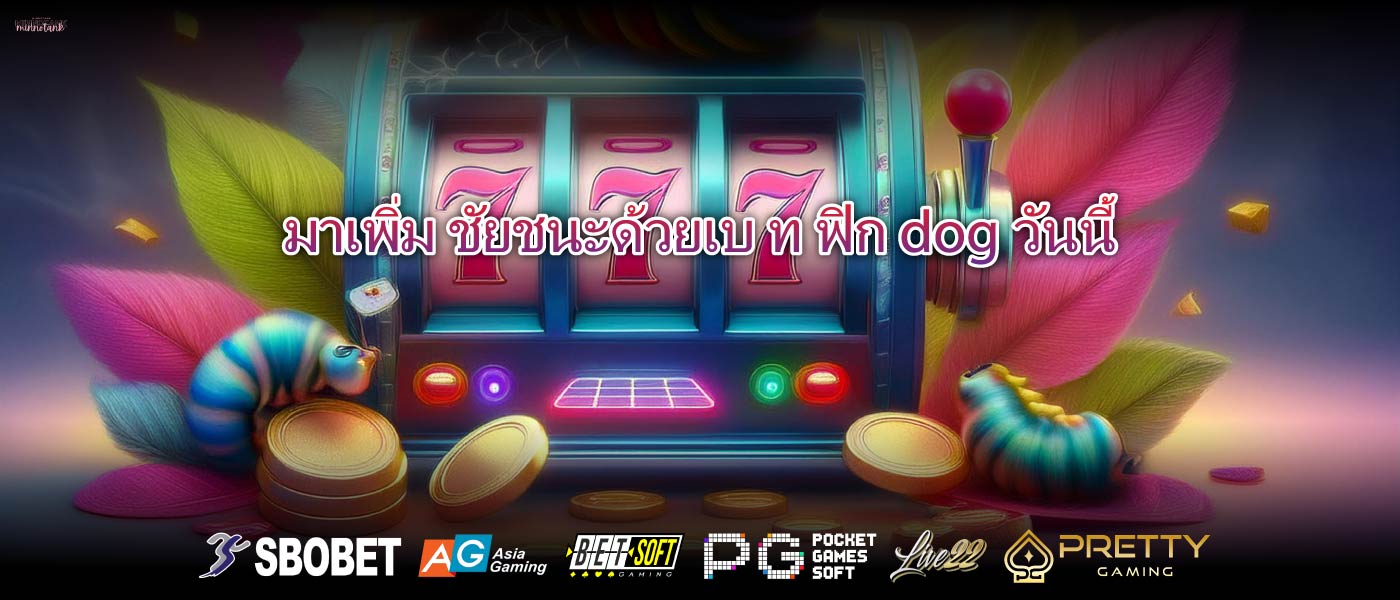 มาเพิ่ม ชัยชนะด้วยเบ ท ฟิก dogวันนี้